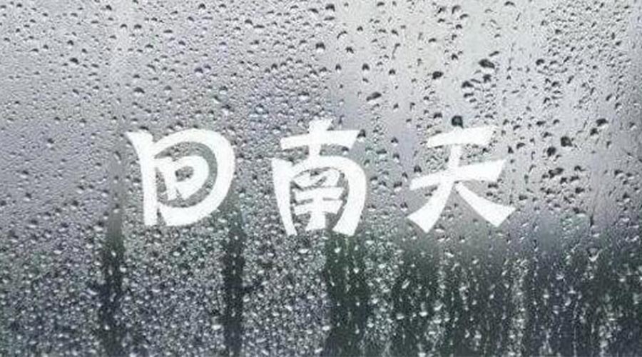 潮濕天來襲！家用衣物烘干機一招清除衣物上霉臭味