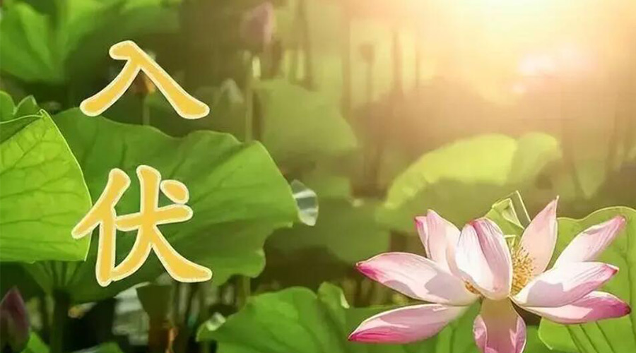 入伏天來襲！金環(huán)電器提醒大家要注意的事項