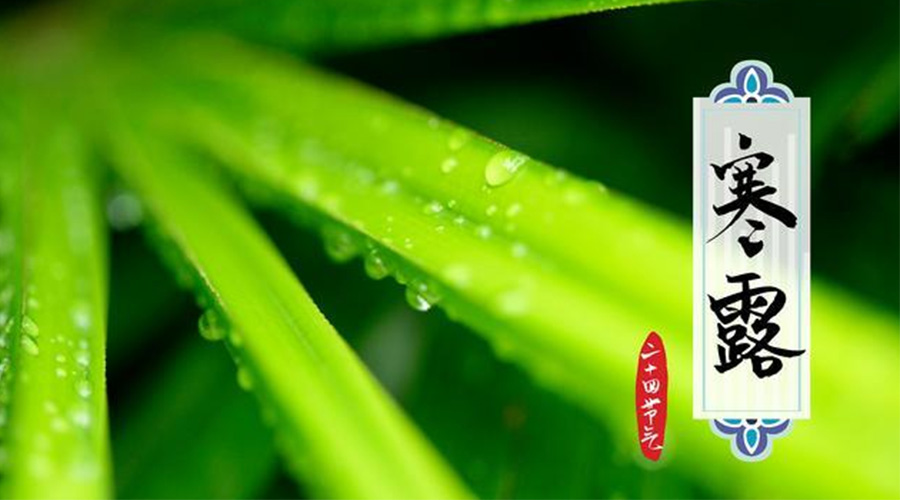 寒露時(shí)節(jié)到！金環(huán)電器提醒這些干衣事項(xiàng)要注意