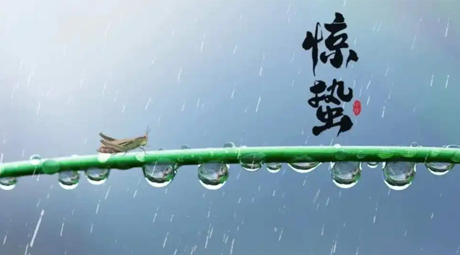 驚蟄時節(jié)！金環(huán)電器提醒大家干衣要注意這些