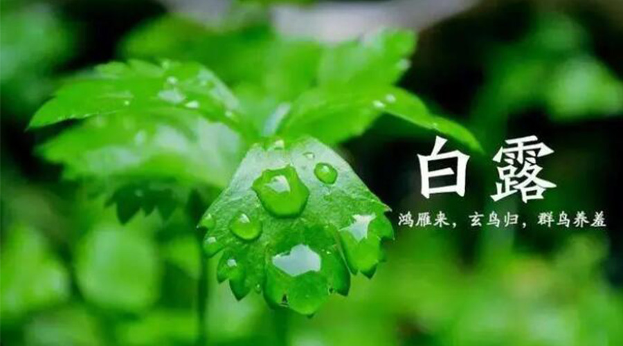 白露時(shí)節(jié)！金環(huán)電器提醒大家要注意的事項(xiàng)