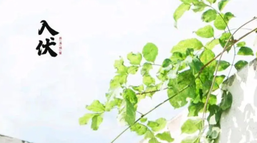 初伏時(shí)節(jié)！金環(huán)電器提醒大家要注意的事項(xiàng)